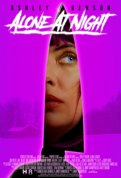 Affiche du film Alone at Night