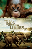 Affiche du film Nés pour être libres