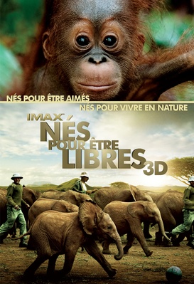 Nés pour être libres