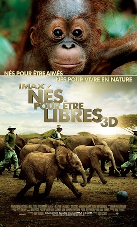 Nés pour être libres