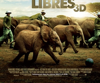 Affiche du film Nés pour être libres