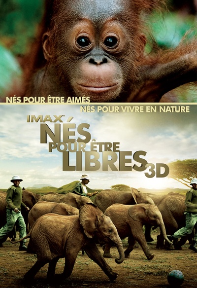 Affiche du film Nés pour être libres