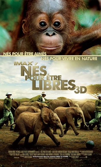 Affiche du film Nés pour être libres