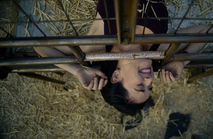 Bande-annonce en anglais