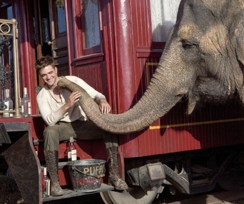 Une scène du film Water for Elephants