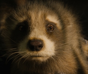 Une scène du film Guardians of the Galaxy Vol. 3