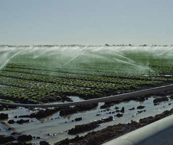 Une scène du film Poisoned: The Dirty Truth About Your Food