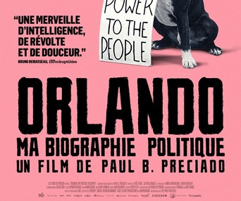 Affiche du film Orlando, ma biographie politique