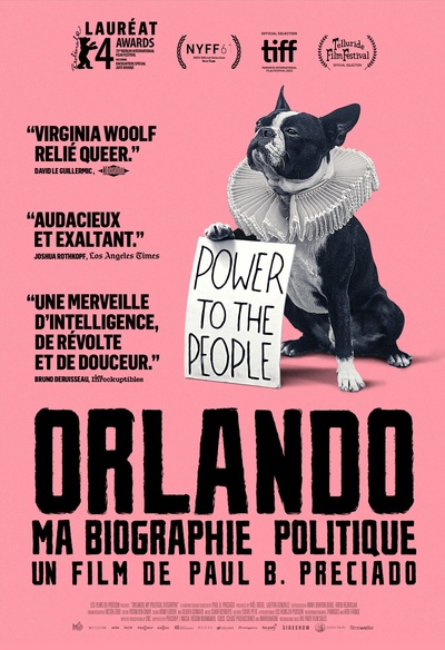 Affiche du film Orlando, ma biographie politique