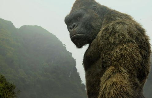 Une scène du film Kong : Skull Island
