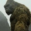 Une scène du film Kong : Skull Island