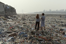 Image du film Animal