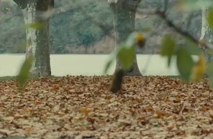 Bande-annonce en français
