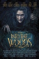 Affiche du film Dans les bois