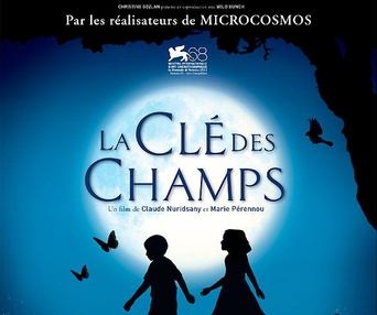 Affiche du film La clé des champs