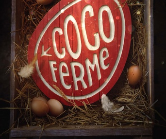 Affiche du film Coco Ferme