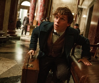 Une scène du film Fantastic Beasts and Where to Find Them
