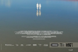 Affiche du film Metamorphosis