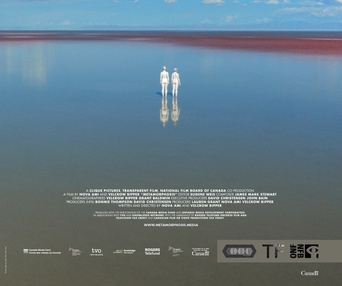 Affiche du film Metamorphosis
