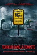 Affiche du film Terreur dans la tempête