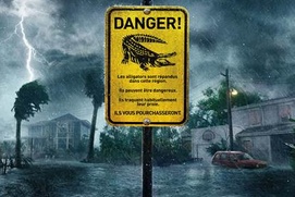 Affiche du film Crawl Affiche du film Crawl