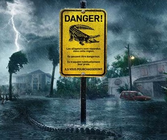 Affiche du film Crawl