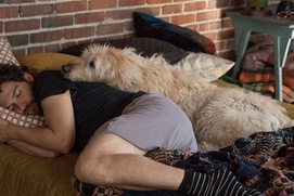 Une scène du film Dog Days