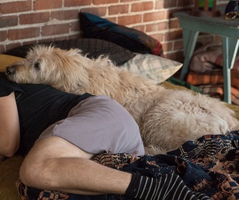 Une scène du film Dog Days