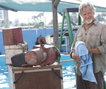 Une scène du film Dolphin Tale