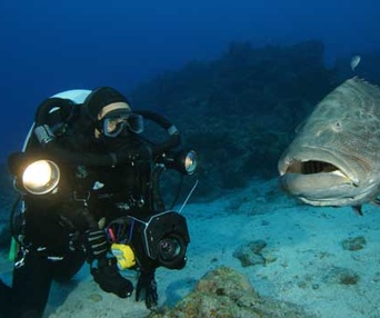 Sous les mers du monde en 3D