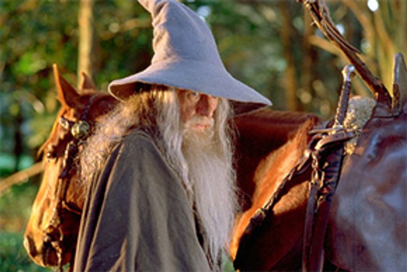 Sir Ian McKellen Lord of the Rings : The Fellowship of the Ring