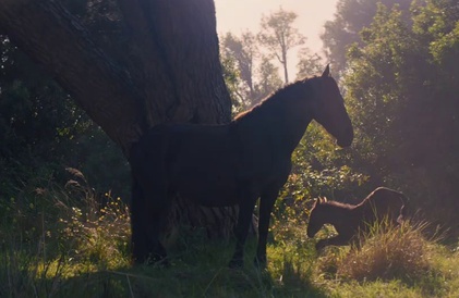 Bande-annonce en anglais