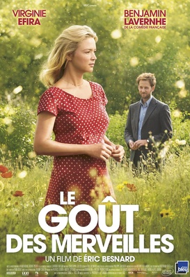 Le goût des merveilles