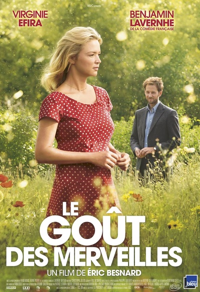 Affiche du film Le goût des merveilles