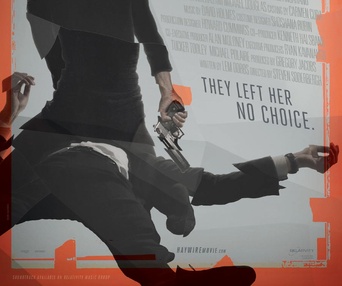 Affiche du film Haywire