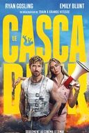 Affiche du film Le cascadeur