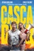 Affiche du film Le cascadeur
