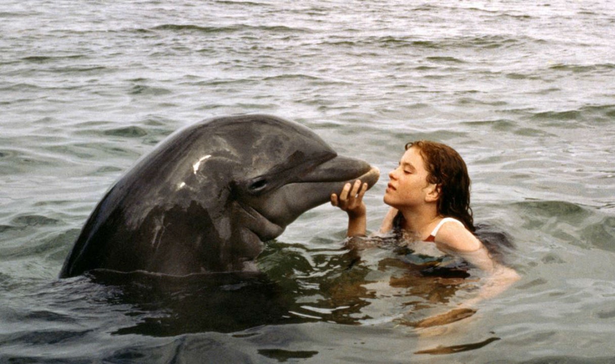 La grenouille et la baleine