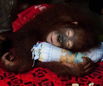 Une scène du film Born to Be Wild