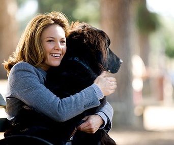 Scène du film Doit aimerl les chiens
