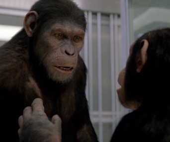 Une scène du film Rise of the Planet of the Apes