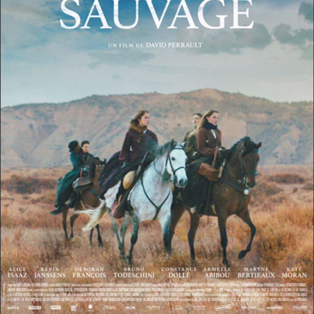 Affiche du film L'état sauvage