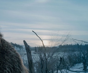 Une scène du film The Revenant