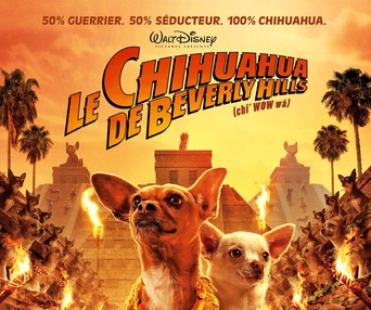 Affiche du film Le chihuahua de Beverly Hills
