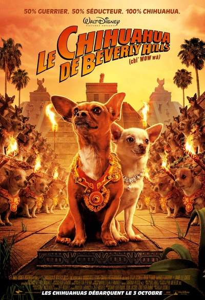 Affiche du film Le chihuahua de Beverly Hills