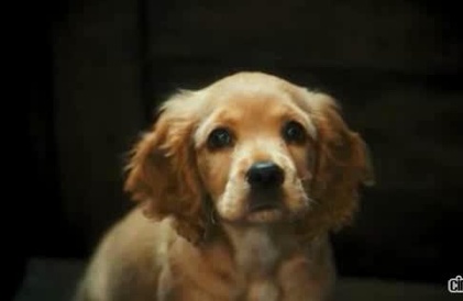 Bande-annonce en anglais