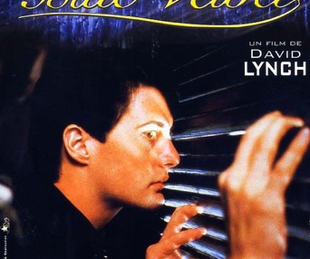 Affiche du film Blue Velvet