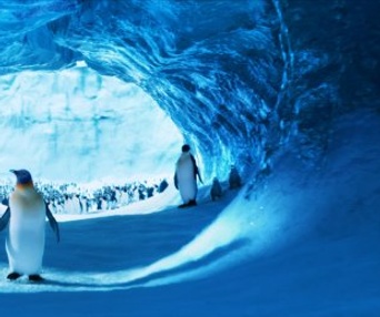 Une scène du film Happy Feet Two
