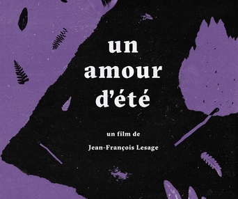 Affiche du film Un amour d'été