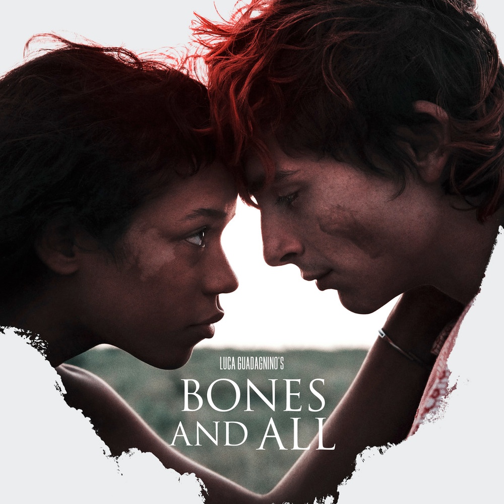 Affiche du film Bones and All